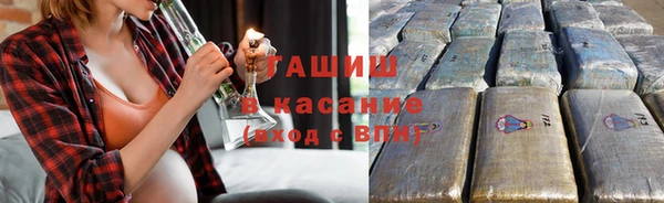 индика Богородицк