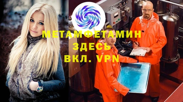 индика Богородицк