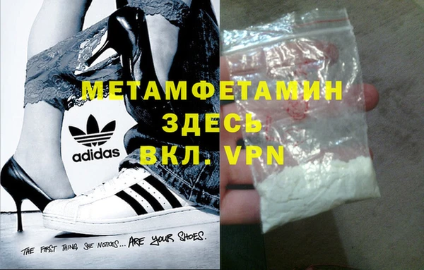 индика Богородицк