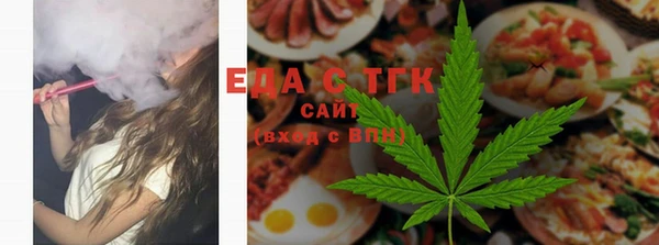 индика Богородицк