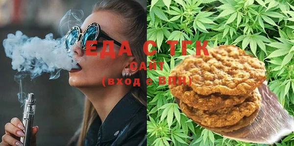 индика Богородицк