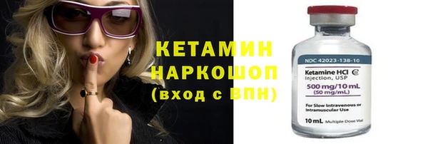 индика Богородицк