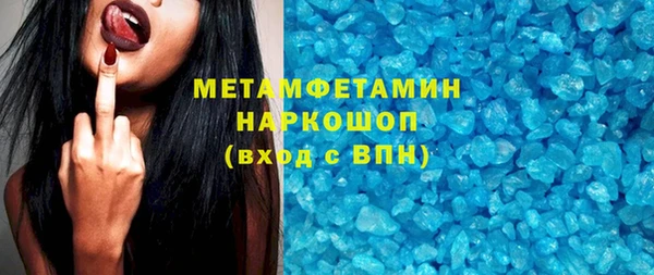 индика Богородицк