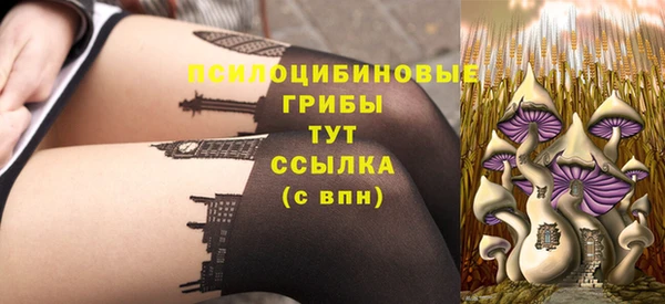 гидропоника Богородск